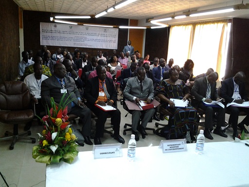 ATELIER DE CONCERTATION POUR LA MISE EN PLACE DU CADRE JURIDIQUE RELATIF A L’ACCES ET AU PARTAGE DES AVANTAGES DECOULANT DE L’UTILISATION DES RESSOURCES GENETIQUES